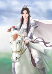灵破天域